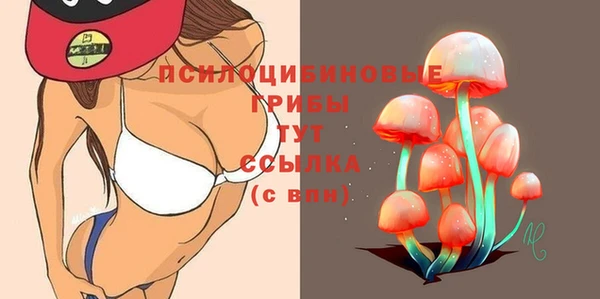 прущая мука Армянск