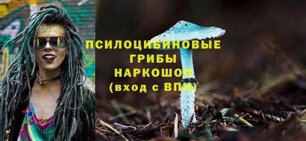 прущая мука Армянск