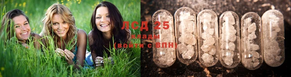 крисы Аркадак