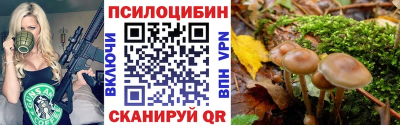 где купить наркоту  Лихославль  Галлюциногенные грибы Psilocybine cubensis 